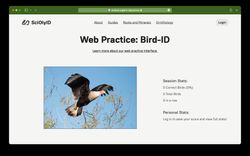 a screenshot of the web practice page